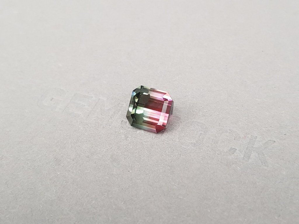 Bi-color pink and green tourmaline 3.23 ct in octagon cut, Congo Image №3