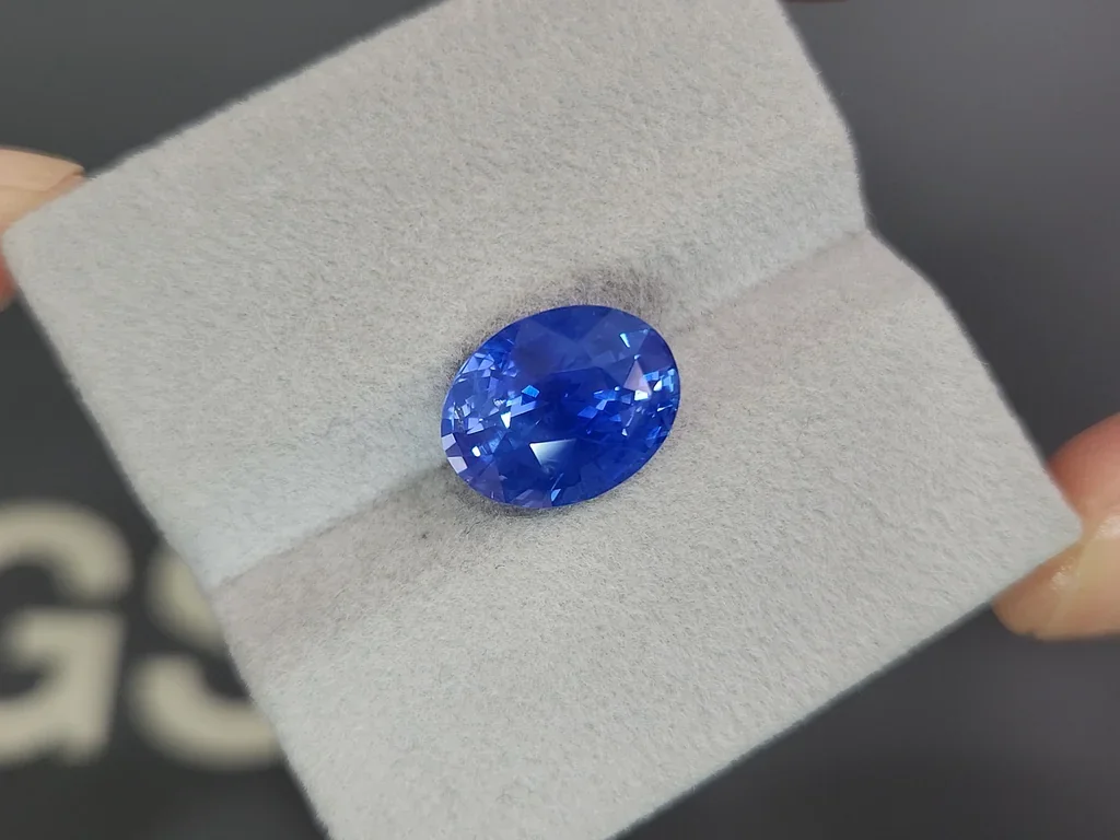 Zafiro azul aciano de talla ovalada sin calentar de 7,24 ct de Sri Lanka Image №4