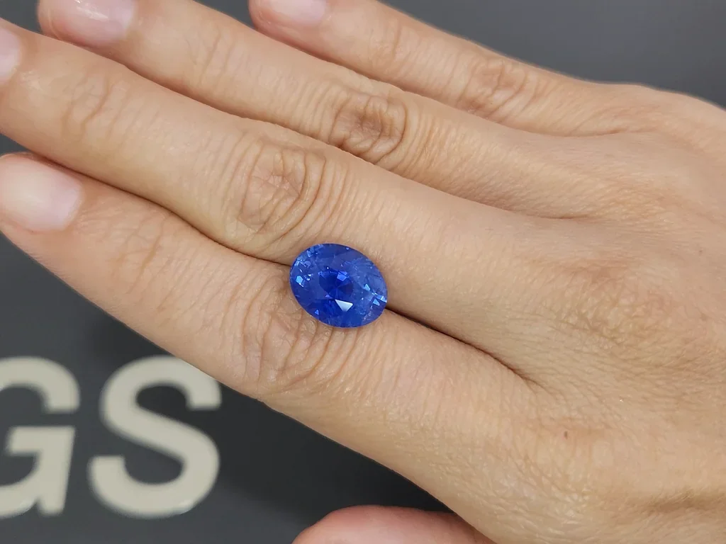 Zafiro azul aciano de talla ovalada sin calentar de 7,24 ct de Sri Lanka Image №2