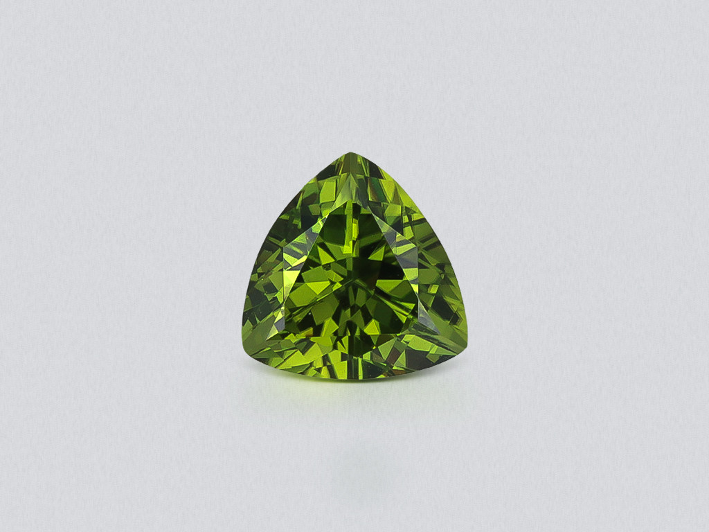 Grüner turmalin im trillion-schliff 1,18 karat, Tansania Image №1