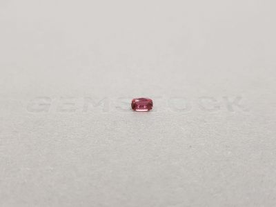 Cushion-cut red-pink sapphire 0.24 ct photo