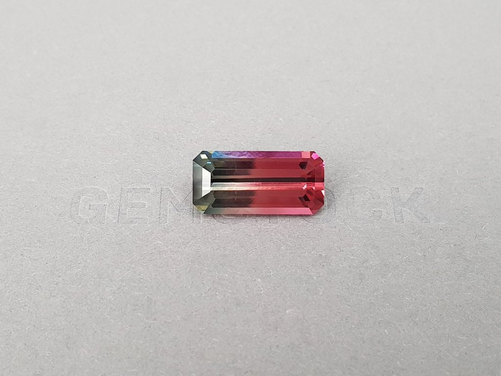 Polychrome vivid pink and gray tourmaline 9.45 ct in octagon cut, Congo Image №1