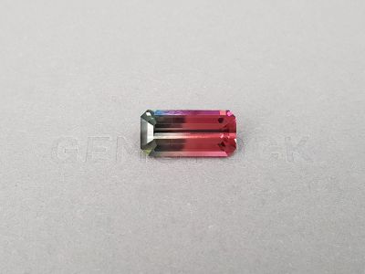 Polychrome vivid pink and gray tourmaline 9.45 ct in octagon cut, Congo photo
