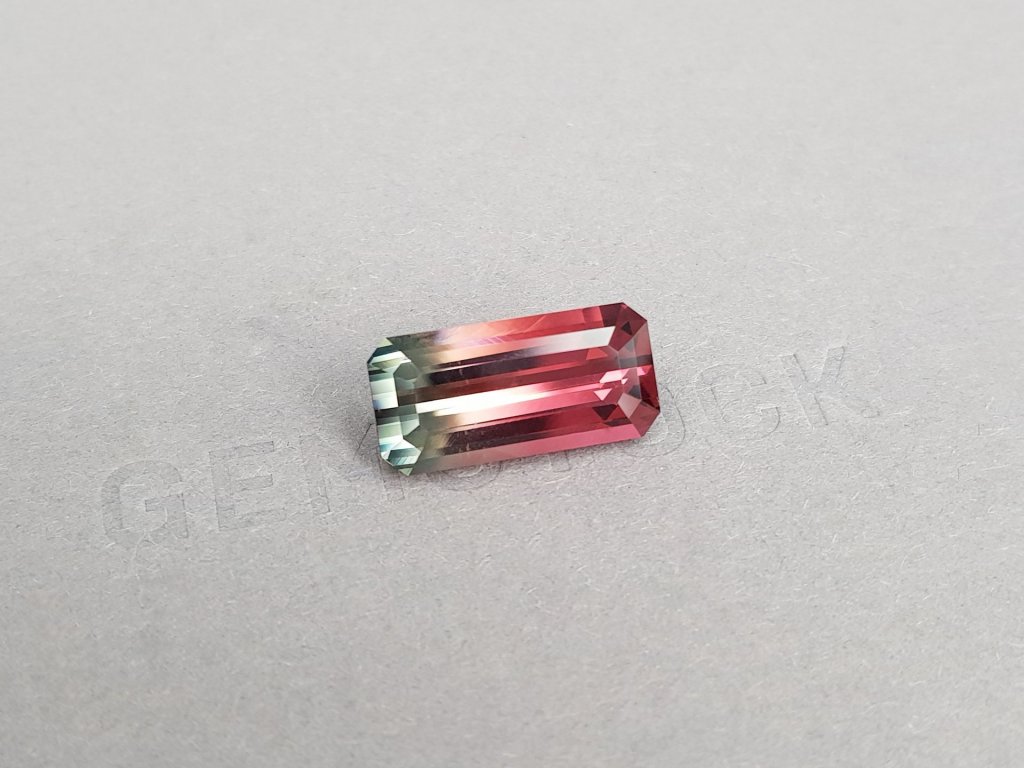 Polychrome vivid pink and gray tourmaline 9.45 ct in octagon cut, Congo Image №2