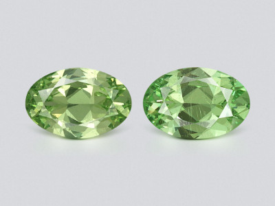 Une paire de grenats tsavorites de taille ovale 0,82 carats, Tanzanie photo