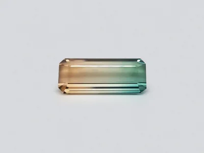 Polychrome tourmaline 14.93 ct photo