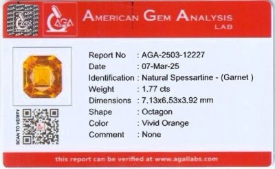 Certificate Granate espesartina color fanta talla octogonal 1,77 carats, África