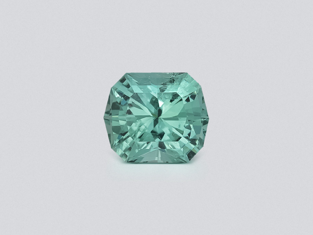 Grüner turmalin im radiantschliff 3,05 karats, Afrika Image №1