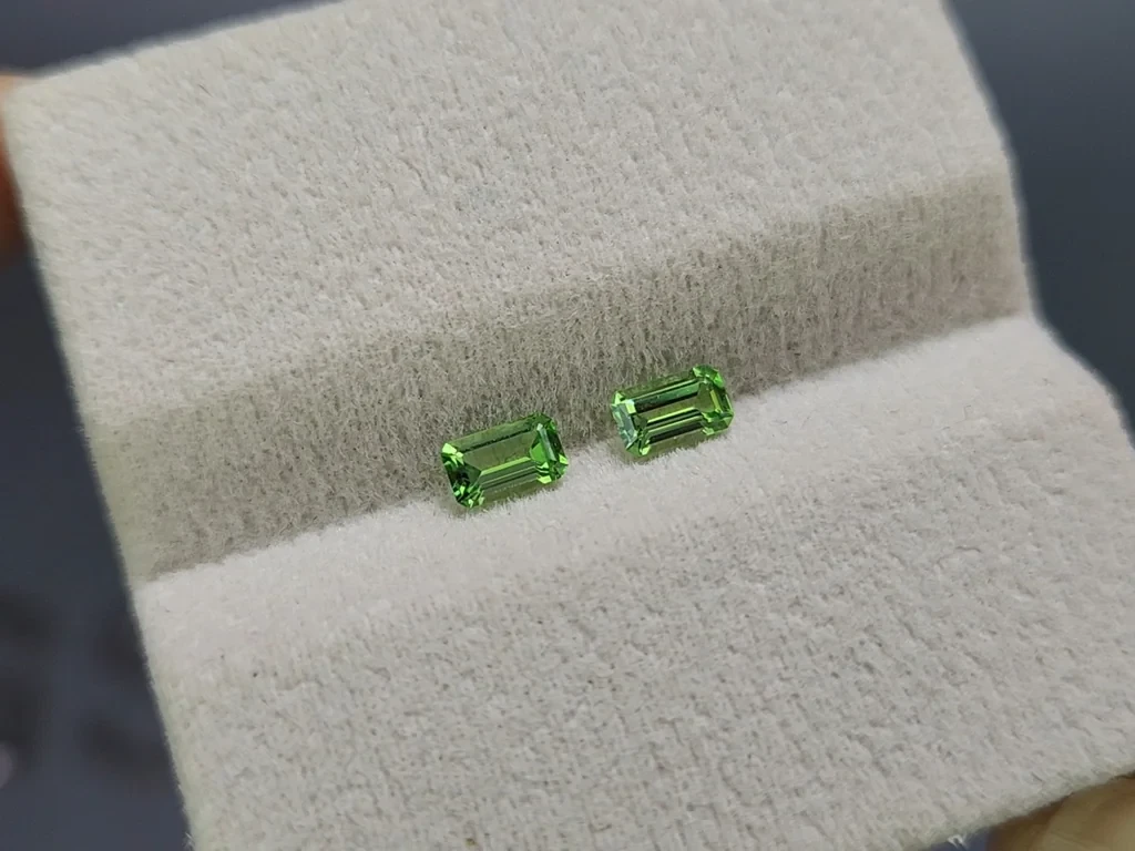 Une paire de grenats tsavorites taillés en octogone,0,6 carat, Tanzanie Image №4