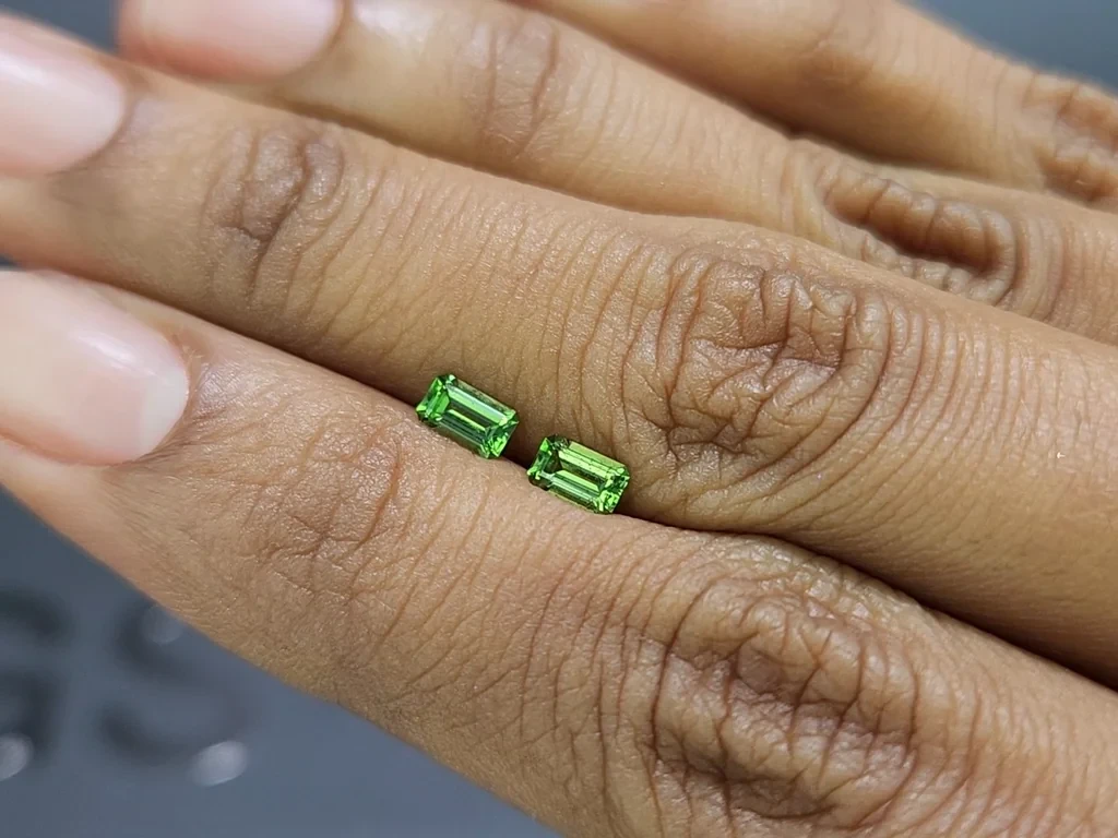 Une paire de grenats tsavorites taillés en octogone,0,6 carat, Tanzanie Image №2