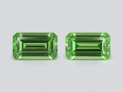 Une paire de grenats tsavorites taillés en octogone,0,6 carat, Tanzanie photo