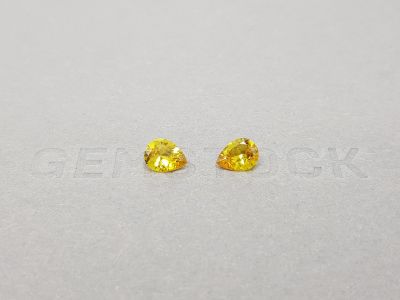 Pair of vivd yellow unheated sapphires 1.21 ct, Madagascar photo