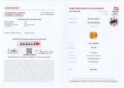 Certificate Zircon jaune taille radiant 11,67 carats, Sri Lanka