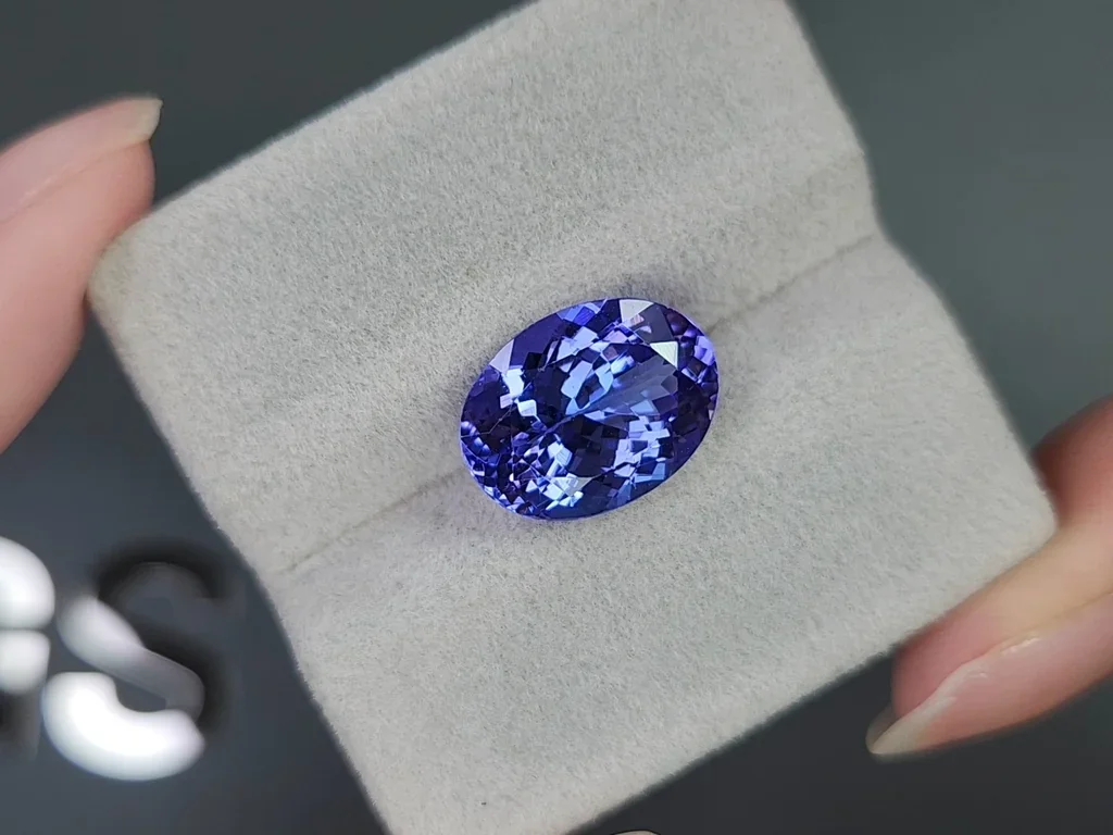Tanzanita de talla ovalada de 8,21 carats, Tanzania Image №4