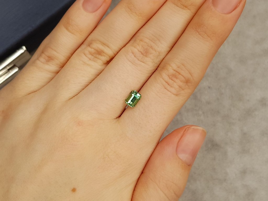 Octagon-cut green tourmaline 0.72 carats Image №4