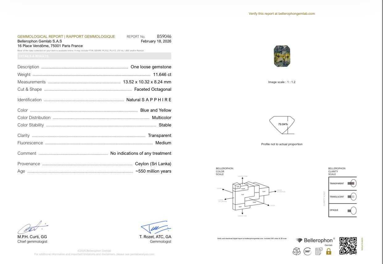 Unheated Bi-color sapphire in radiant cut  11.65 carats, Sri Lanka Image №6