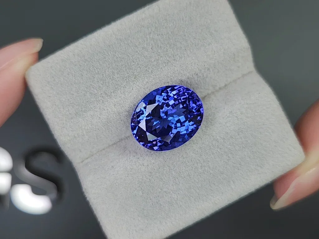 Tanzanite taille ovale 9,00 carats, Tanzanie Image №4