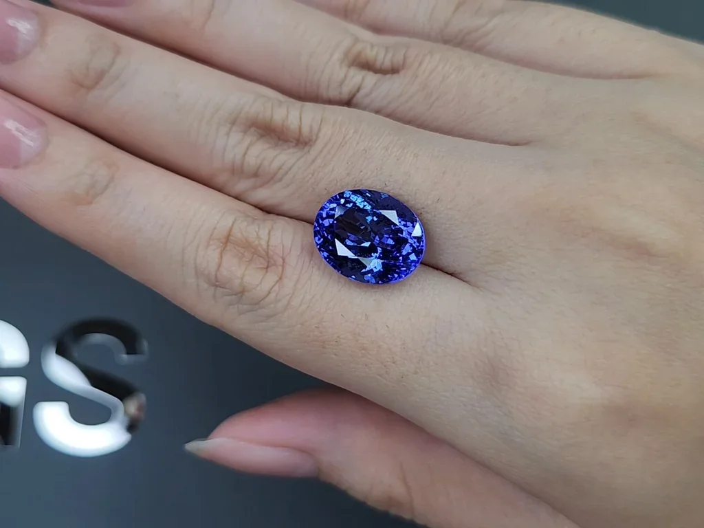 Tanzanite taille ovale 9,00 carats, Tanzanie Image №2