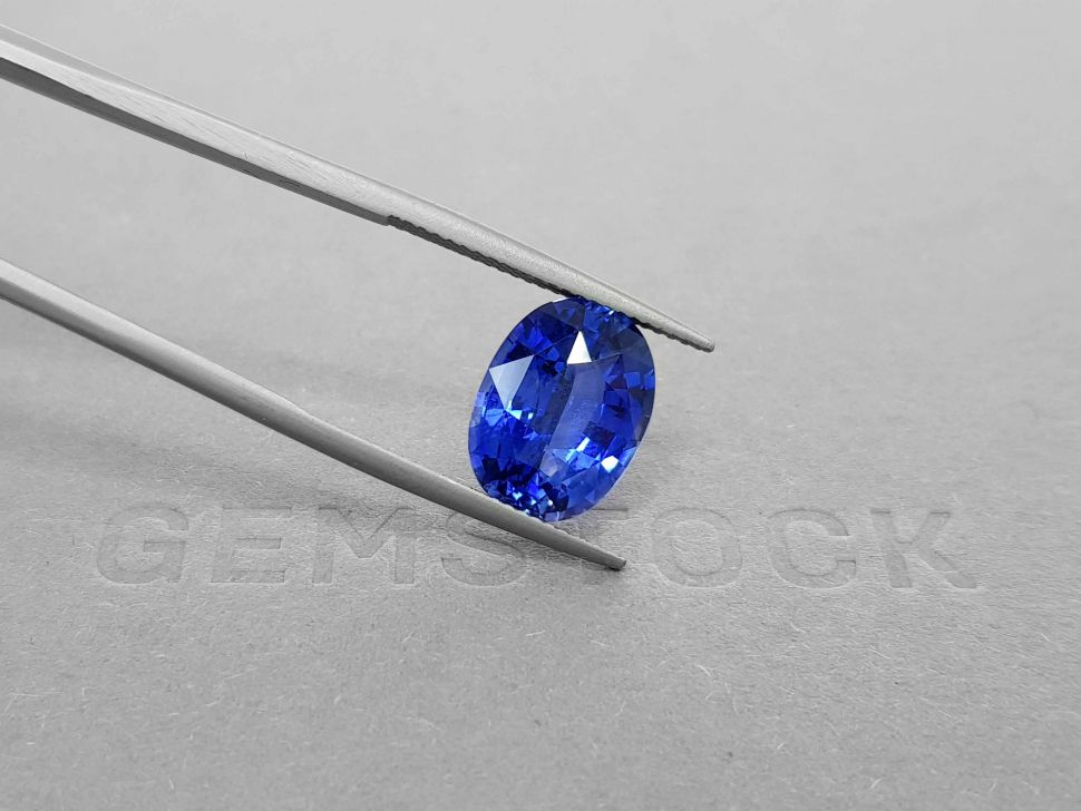 Royal Blue oval cut sapphire 6.66 ct, Sri Lanka Image №4