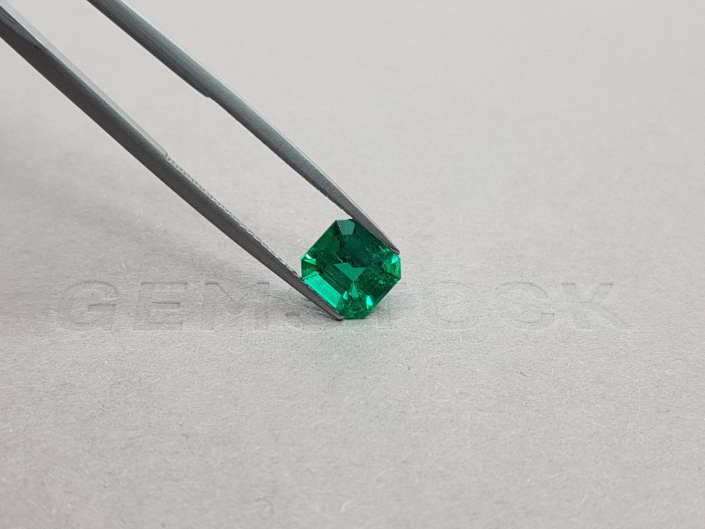 Intense "Muzo Green" Emerald octagon cut 1.59 ct Image №4