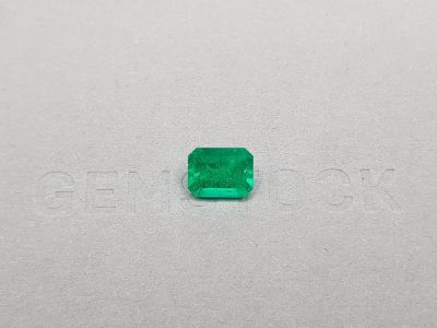 Colombian emerald Vivid Green 1.95 ct octagon cut photo