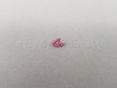 Unheated Padparadscha sapphire in oval cut  0.93 ct, Madagascar photo