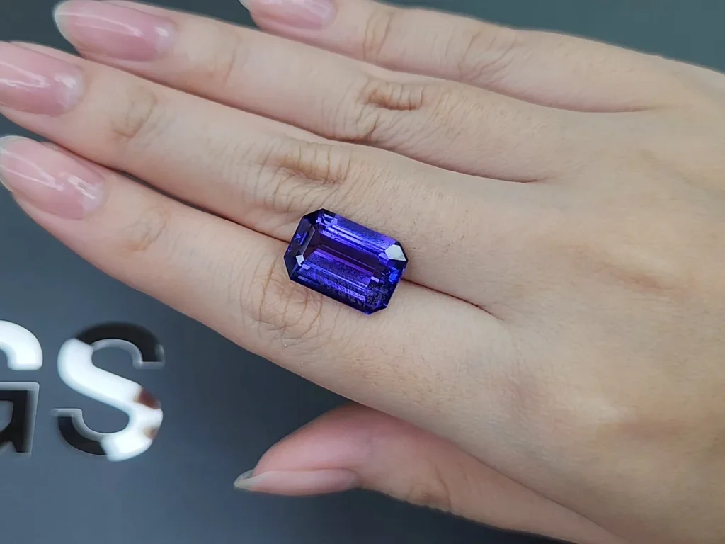 Large tanzanite in octagon cut 10.49 carats, Tanzania Image №2