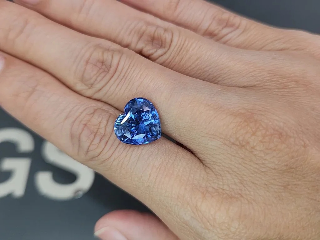 Saphir bleu bleuet non chauffé, taille cœur 8,04 carats, Sri Lanka Image №2