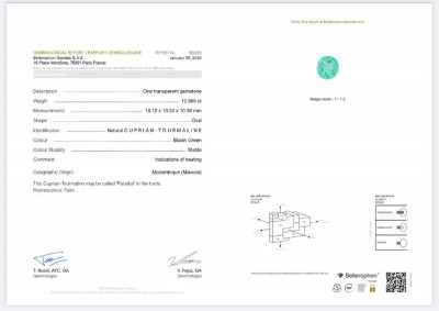 Certificate Diamant Paraiba vert néon, taille ovale, 12,89 carats, Mozambique