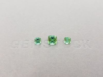Set of tourmalines from Afghanistan, cushion cut 1.76 ct photo