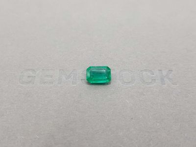 Octagon cut Zambian emerald 1.10 ct photo