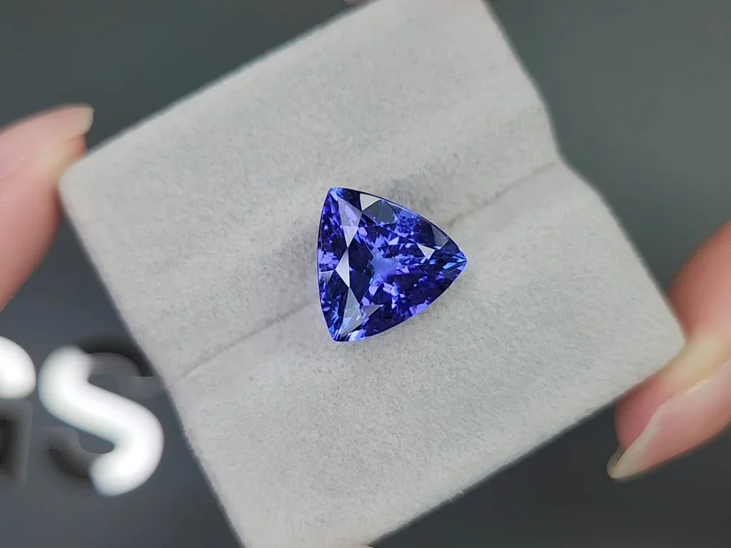 Tansanit im trillionschliff 7,19 karats, Tansania Image №4