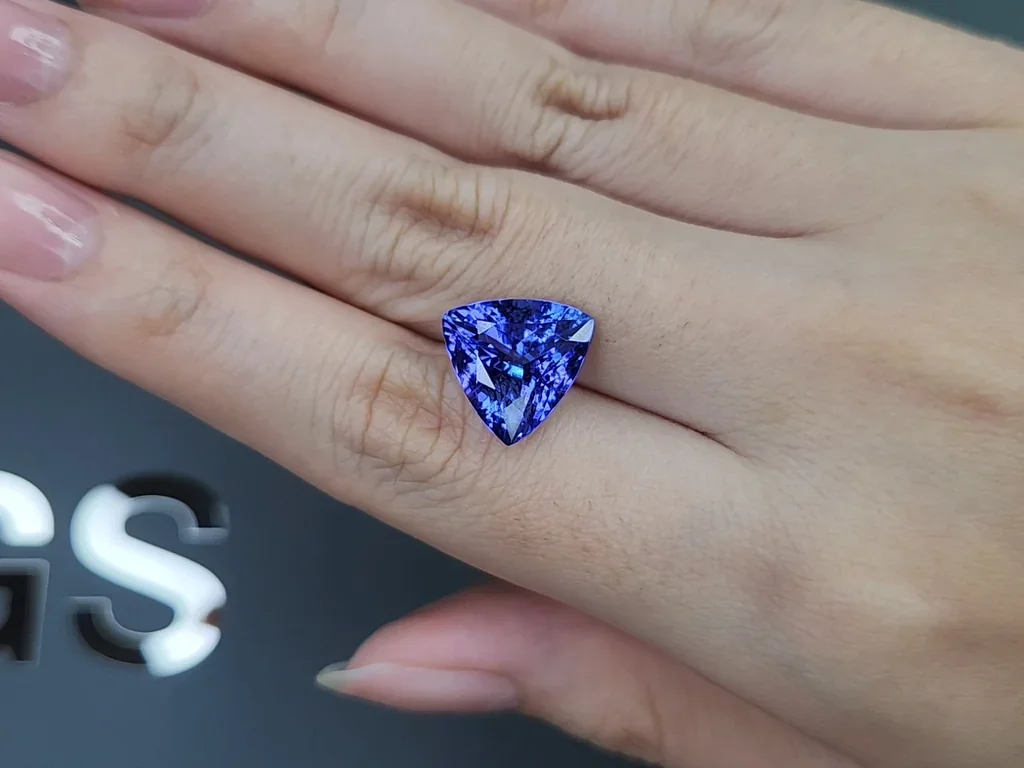 Tansanit im trillionschliff 7,19 karats, Tansania Image №2