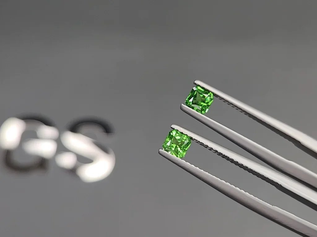 Paire de tsavorites vert vif taille Asscher 0,95 ct, Tanzanie Image №3