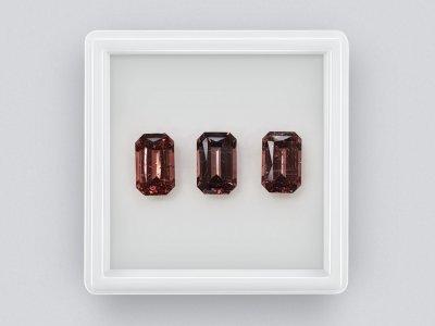 Octagon cut rubellite set 3.99, Africa photo