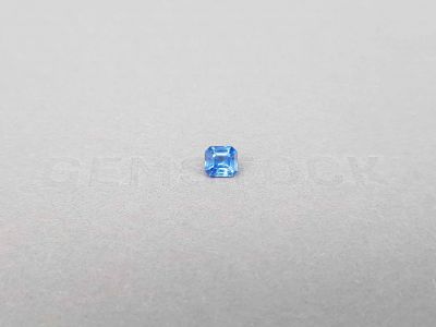 Untreated octagon cut blue sapphire 0.63 ct, Sri Lanka photo