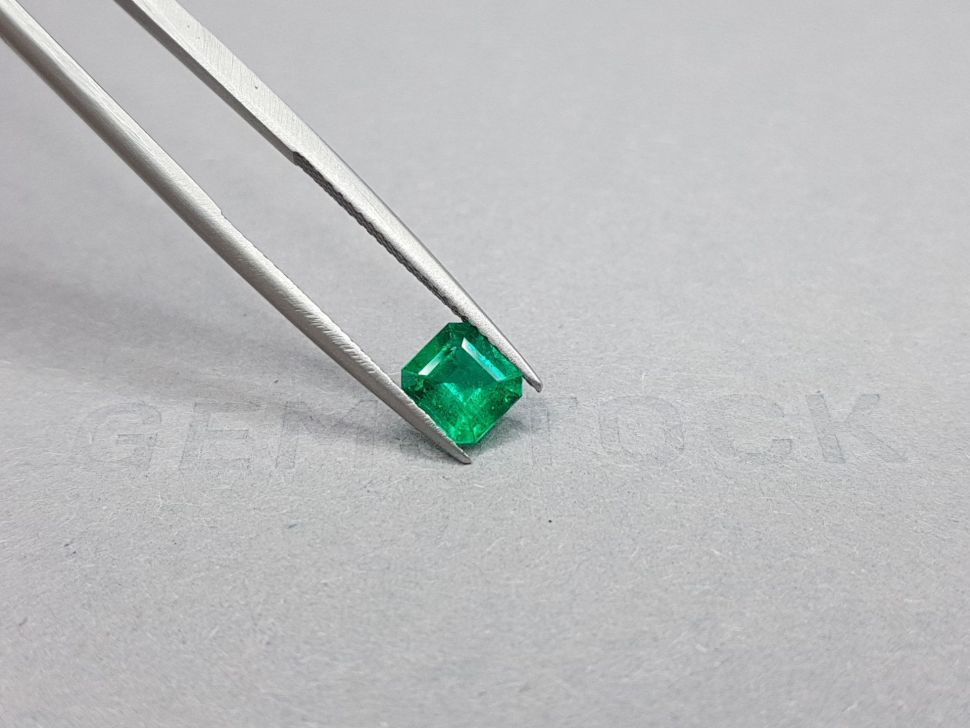 Intense "Muzo Green" emerald octagon cut 0.89 ct Image №4