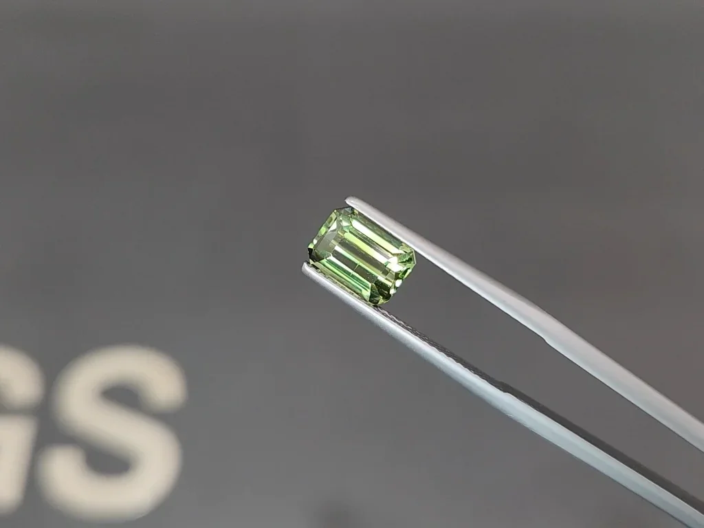 Vanadium containing chrysoberyl in octagon cut 2.56 carats, Sri Lanka Image №3