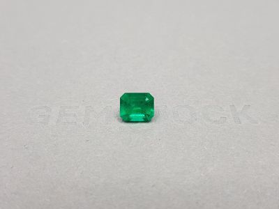 Colombian Muzo Green emerald octagon shape 1.25 ct photo