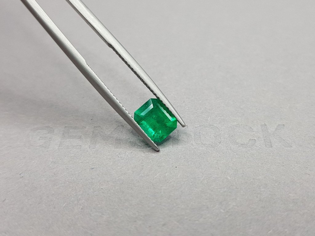 Colombian Muzo Green emerald octagon shape 1.25 ct Image №4