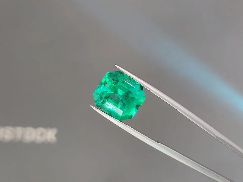 Intense Green Colombian emerald 7.90 carats in octagon cut Image №3