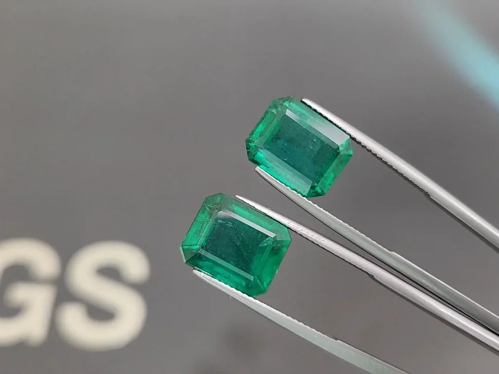 Pair of emeralds Vivid Green octagon cut 15.11 carats, Zambia Image №3