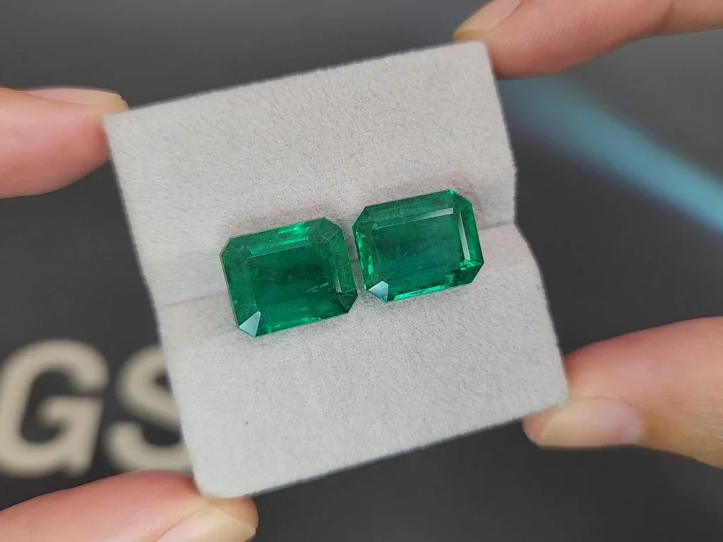 Pair of emeralds Vivid Green octagon cut 15.11 carats, Zambia Image №4