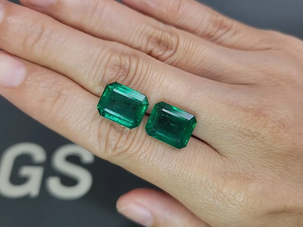 Pair of emeralds Vivid Green octagon cut 15.11 carats, Zambia Image №2