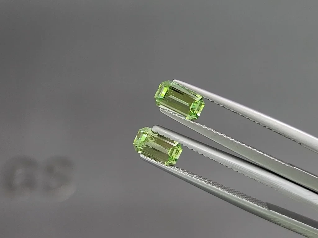 Pair of garnets grossular mint green octagon cut 1.38 carats, Tanzania Image №3