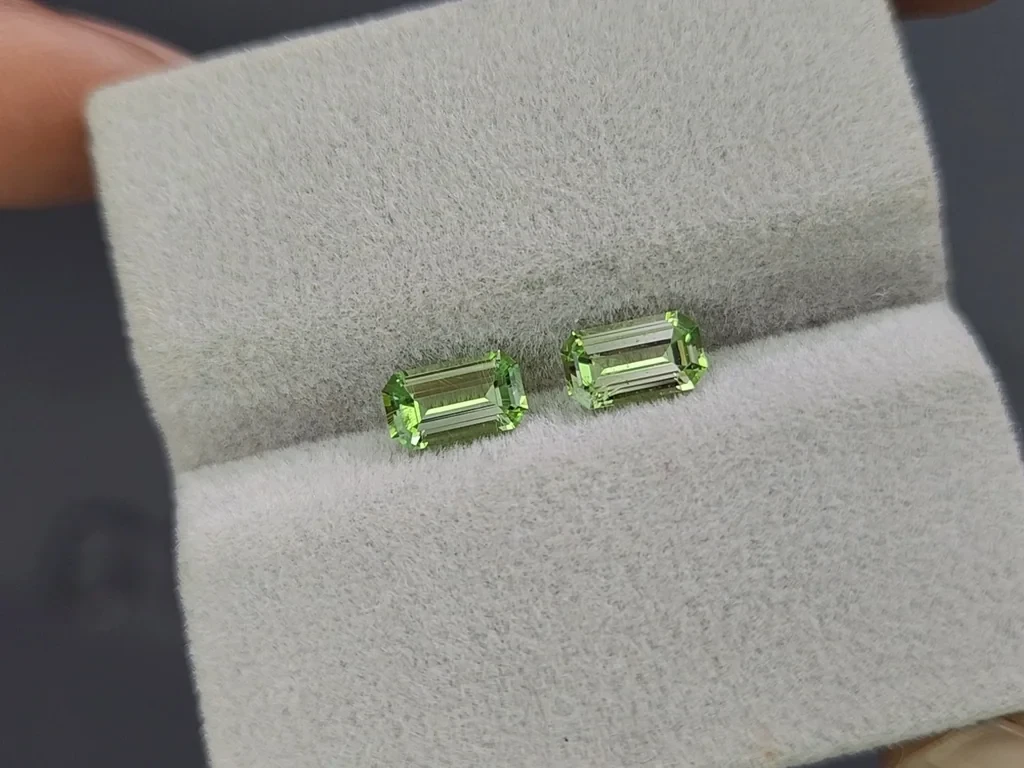 Pair of garnets grossular mint green octagon cut 1.38 carats, Tanzania Image №4