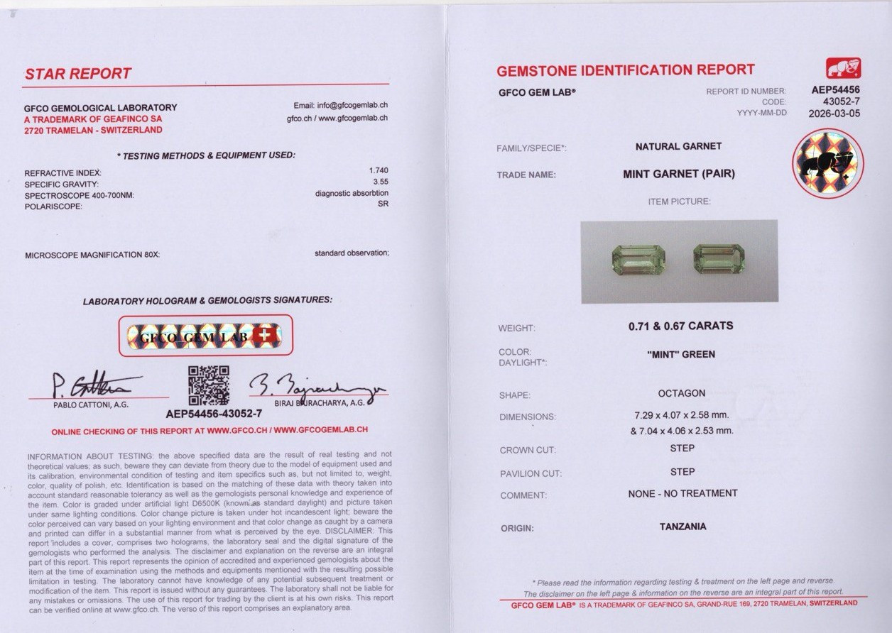 Pair of garnets grossular mint green octagon cut 1.38 carats, Tanzania Image №5