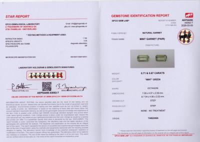 Certificate Pair of garnets grossular mint green octagon cut 1.38 carats, Tanzania