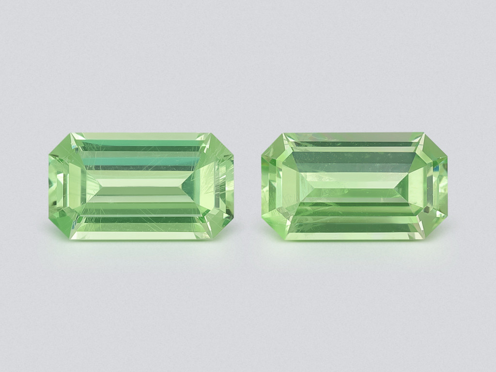 Pair of garnets grossular mint green octagon cut 1.38 carats, Tanzania Image №1