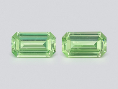 Pair of garnets grossular mint green octagon cut 1.38 carats, Tanzania photo
